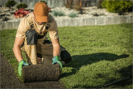 Landscaper